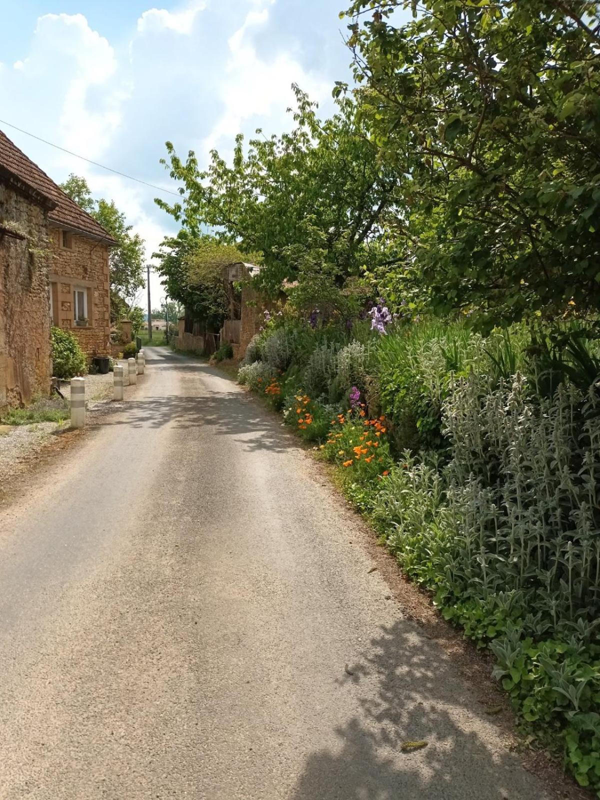 Ferme De Lagrave 호텔 쿠에뜨비가로크 외부 사진